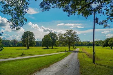 Property consists of: Over 8000' of Cahaba River Frontage - - photo 4