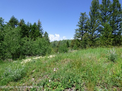 At the entrance to Buffalo Valley this Teton Wilderness classic - photo 34