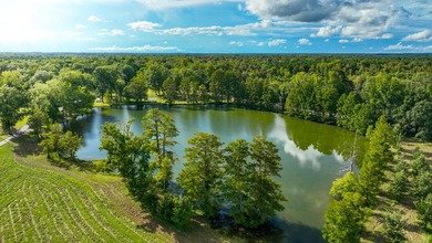 Property consists of: Over 8000' of Cahaba River Frontage - - photo 5