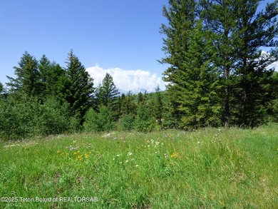At the entrance to Buffalo Valley this Teton Wilderness classic - photo 35