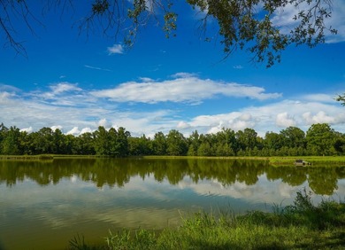 Property consists of: Over 8000' of Cahaba River Frontage - - photo 6