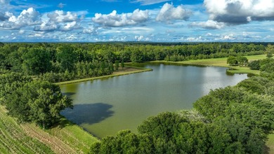 Property consists of: Over 8000' of Cahaba River Frontage - - photo 7