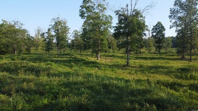 This peaceful and quiet 3.74-acre lot is located just 1.5 north - photo 38