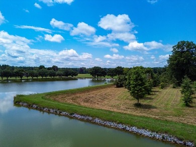 Property consists of: Over 8000' of Cahaba River Frontage - - photo 8