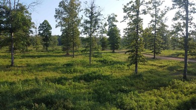 This peaceful and quiet 3.74-acre lot is located just 1.5 north - photo 39