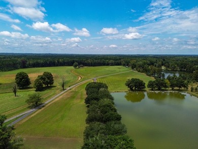 Property consists of: Over 8000' of Cahaba River Frontage - - photo 9