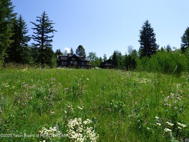 At the entrance to Buffalo Valley this Teton Wilderness classic - photo 39