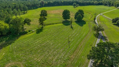 Property consists of: Over 8000' of Cahaba River Frontage - - photo 10
