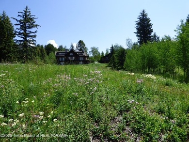 At the entrance to Buffalo Valley this Teton Wilderness classic - photo 40