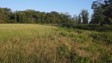 This peaceful and quiet 3.74-acre lot is located just 1.5 north - photo 41