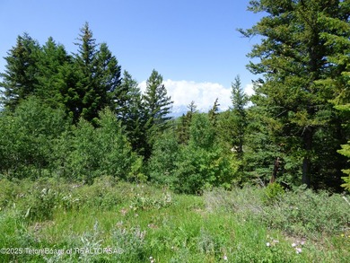 At the entrance to Buffalo Valley this Teton Wilderness classic - photo 41