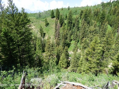 At the entrance to Buffalo Valley this Teton Wilderness classic - photo 42