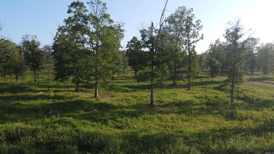 This peaceful and quiet 3.74-acre lot is located just 1.5 north - photo 44