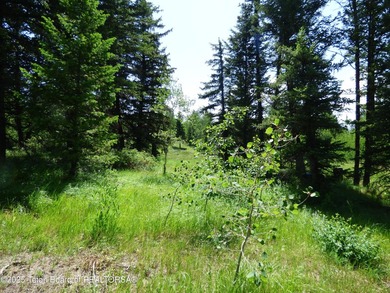 At the entrance to Buffalo Valley this Teton Wilderness classic - photo 44