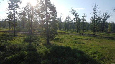 This peaceful and quiet 3.74-acre lot is located just 1.5 north - photo 45