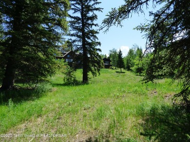 At the entrance to Buffalo Valley this Teton Wilderness classic - photo 45