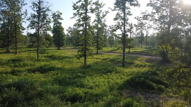 This peaceful and quiet 3.74-acre lot is located just 1.5 north - photo 46