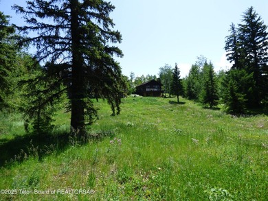 At the entrance to Buffalo Valley this Teton Wilderness classic - photo 46