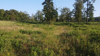 This peaceful and quiet 3.74-acre lot is located just 1.5 north - photo 47