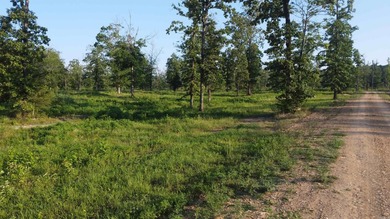 This peaceful and quiet 3.74-acre lot is located just 1.5 north - photo 48