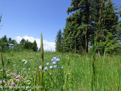At the entrance to Buffalo Valley this Teton Wilderness classic - photo 48