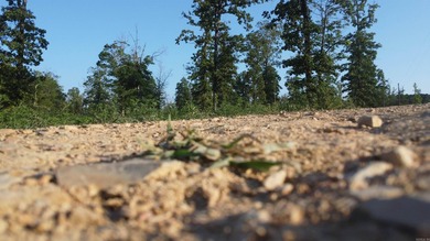 This peaceful and quiet 3.74-acre lot is located just 1.5 north - photo 49