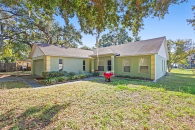 Lake Home For Sale in Leesburg, Florida