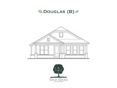 Popular Douglas B plan with 3 main level beds & 2 full baths! - photo 2