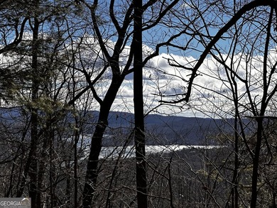 BEAUTIFUL wooded lot in peaceful gated community! Build your - photo 1