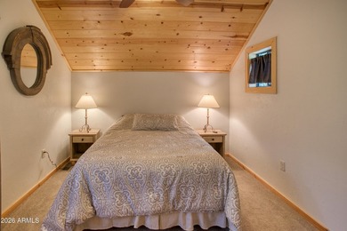Stunning remodeled in White Mountain Summer Homes. 3 Bed, 2 1/2 - photo 23