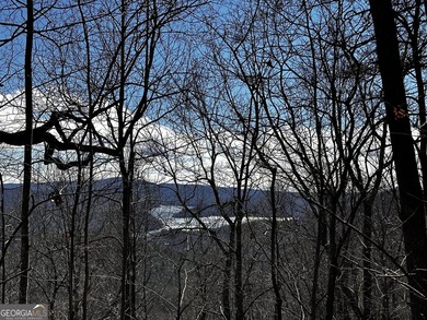 BEAUTIFUL wooded lot in peaceful gated community! Build your - photo 3