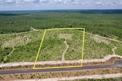 (private lake, pond, creek) Acreage For Sale in North Pace Florida