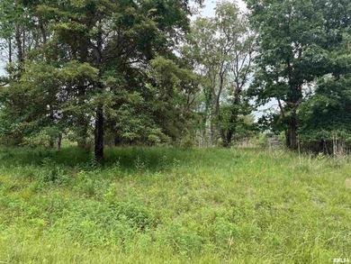 Build your dream home on this beautiful lot with seasonal lake - photo 4