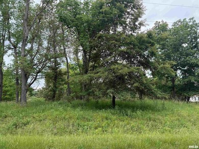 Build your dream home on this beautiful lot with seasonal lake - photo 5