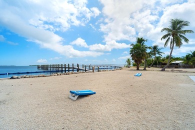 Welcome to an exquisite open-water retreat in Big Pine Key, an - photo 36