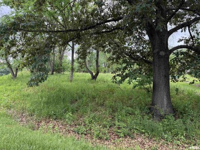 Build your dream home on this beautiful lot with seasonal lake - photo 7