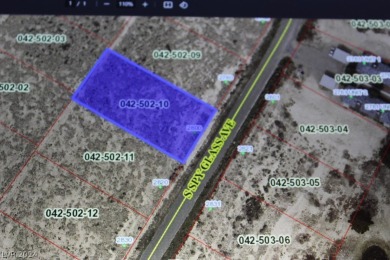 Lake Lot For Sale in Pahrump, Nevada