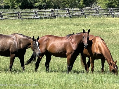 Riverfront Farm - Beautifully remodeled in 2024, Riverfront Farm - photo 48