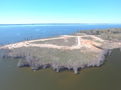 Queen of the Bend Subdivision, like its name, Toledo Bend Lake's - photo 6