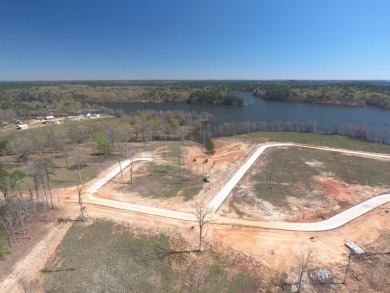 Queen of the Bend Subdivision, like its name, Toledo Bend Lake's - photo 8