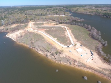 Queen of the Bend Subdivision, like its name, Toledo Bend Lake's - photo 9