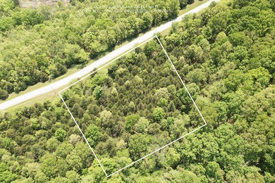 Lake Acreage For Sale in Cape Fair, Missouri