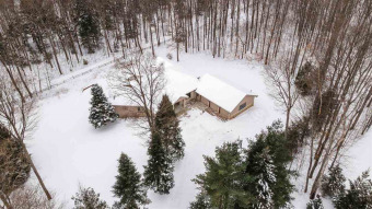 McCoy Lake - Otsego County Home For Sale in Gaylord Michigan