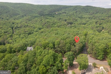 Welcome to mountain living in the sought-after Lake Arrowhead - photo 6