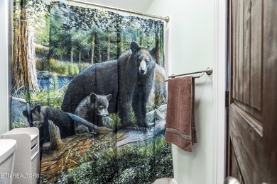 Welcome to your Smoky Mountain escape! Ideally located just - photo 21