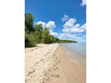 Lake Lot For Sale in Palms, Michigan