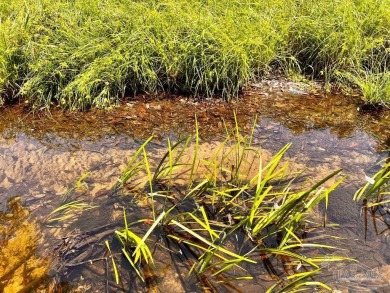 (private lake, pond, creek) Acreage For Sale in North Pace Florida