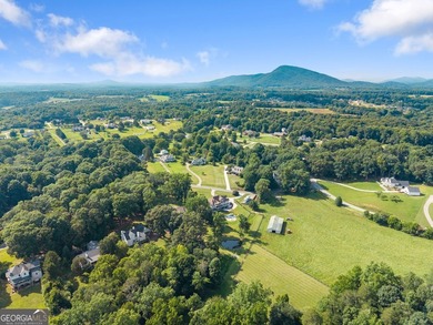 Privacy. Space. Flexibility. Set on more than 3 private acres in - photo 49