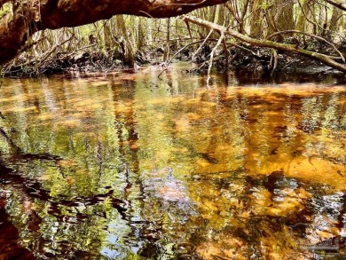 (private lake, pond, creek) Acreage For Sale in North Pace Florida