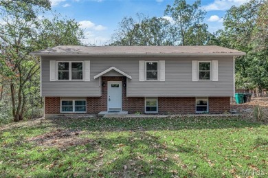 (private lake, pond, creek) Home For Sale in De Soto Missouri